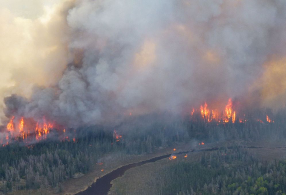 Meşə yanğınlarından yaranan tüstü hər il 24 min amerikalının həyatına son qoyur