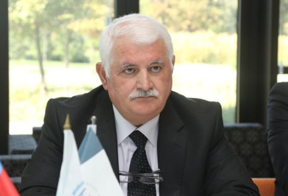 Azərbaycanın sülhyönümlü siyasəti beynəlxalq müstəvidə yüksək qiymətləndirilir -  RƏY