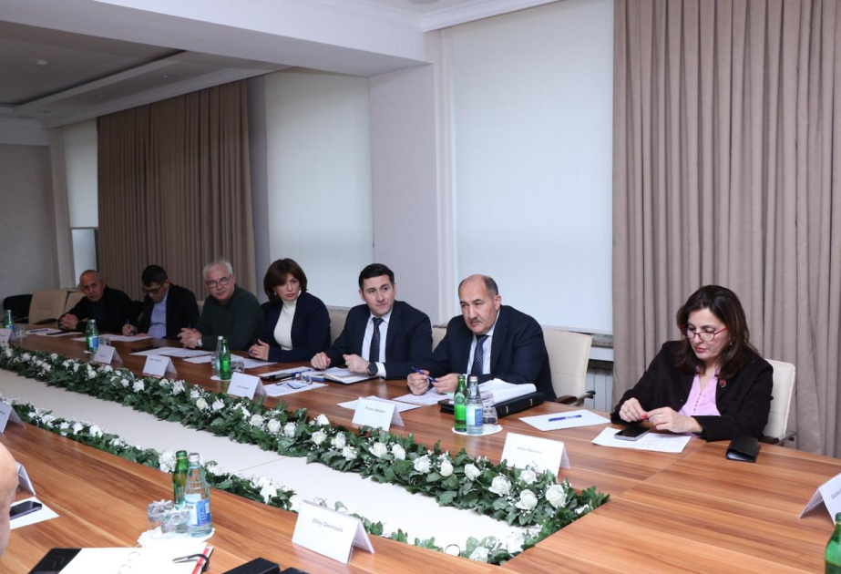 Ekspert Şurasının növbəti iclası keçirilib