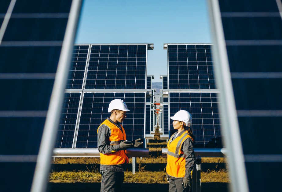 İcraçı direktor: Bərpaolunan enerjiyə qoyulan investisiyalar yeni iş yerlərinin sayını 3 qat artırır