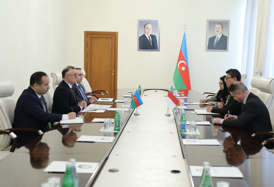 Azərbaycan və İndoneziya arasında səhiyyə sahəsində əməkdaşlıq müzakirə olunub