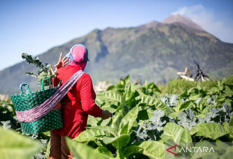 İndoneziya iqtisadiyyatı ötən il 5,11 faiz artıb