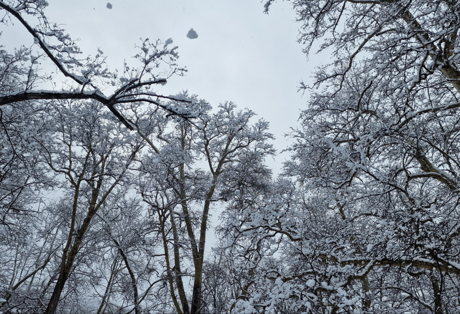 Bəsitçayın qış mənzərəsi  FOTO