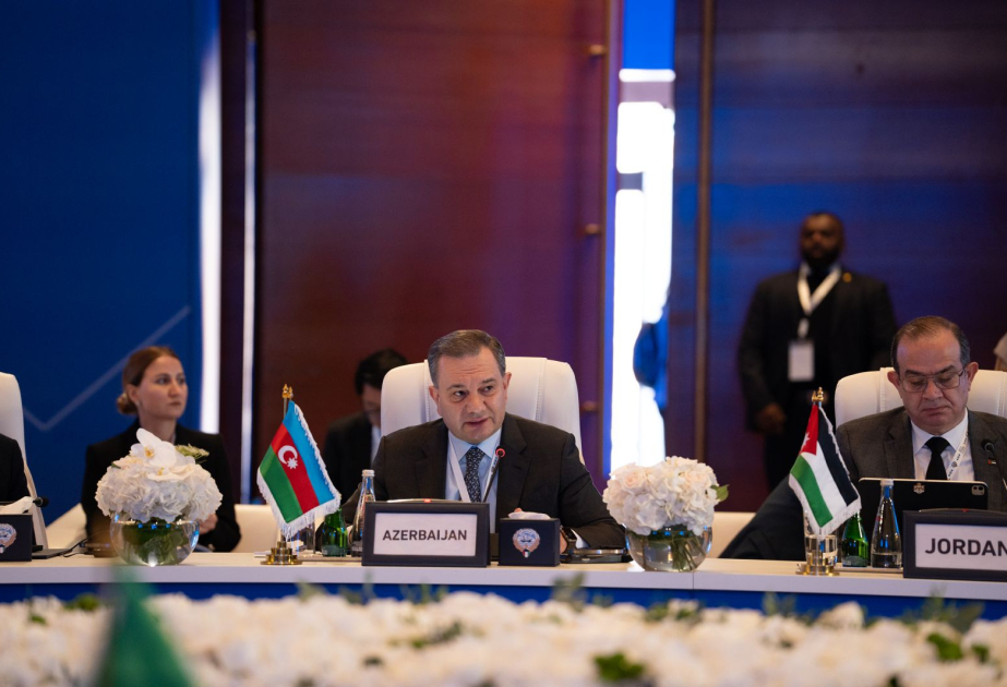 Süni intellekt sahəsində Azərbaycanda həyata keçirilən layihələr Küveytdə təqdim olunub