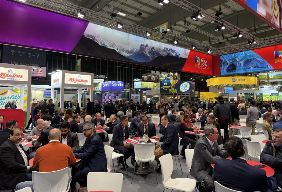 Fruit Logistica 2026 in Berlin: Aserbaidschan nimmt am ınternationalen Fachmesse teil