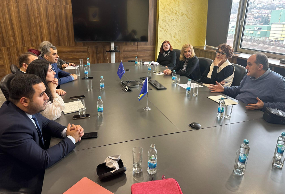 “Məşğulluğa dəstək layihəsi” çərçivəsində Bosniya və Herseqovina ilə təcrübə mübadiləsi aparılıb