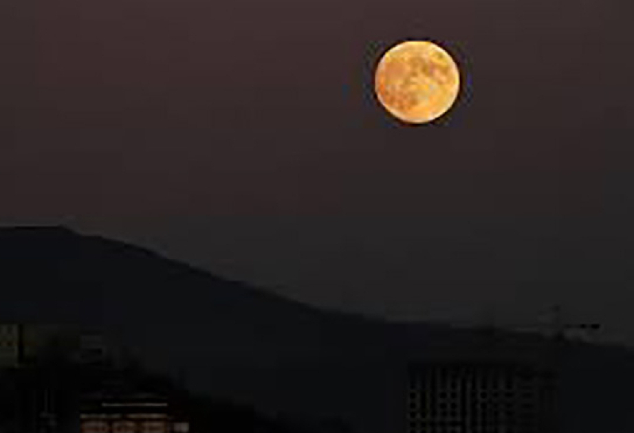 SpaceX prioritizes lunar 'self-growing city' over Mars project, Musk says