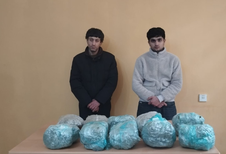 Narkotik vasitənin ölkə ərazisinə keçirilməsinin qarşısı alınıb