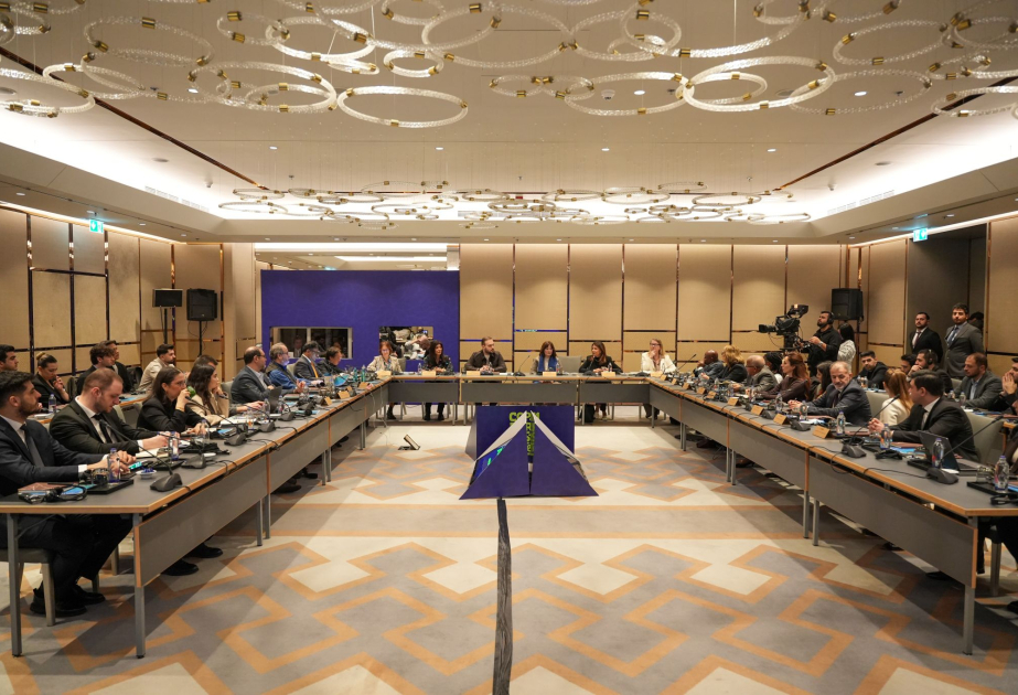 Nigar Arpadarai: Azərbaycan və Türkiyə COP31-ə hazırlıq çərçivəsində əməkdaşlığı gücləndirir - ŞƏRH