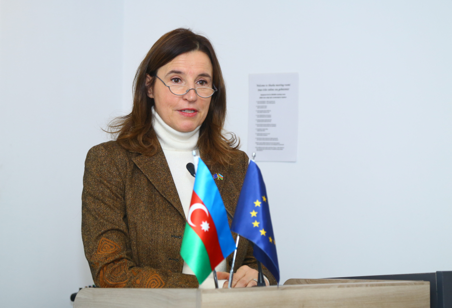 Aİ səfiri: Şəhərlər iqlim dəyişikliyi ilə mübarizənin ön cəbhəsindədir