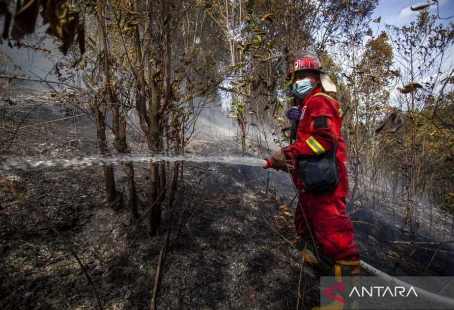 İndoneziya yanğına meyilli bölgələrin xəritəsini hazırlayır