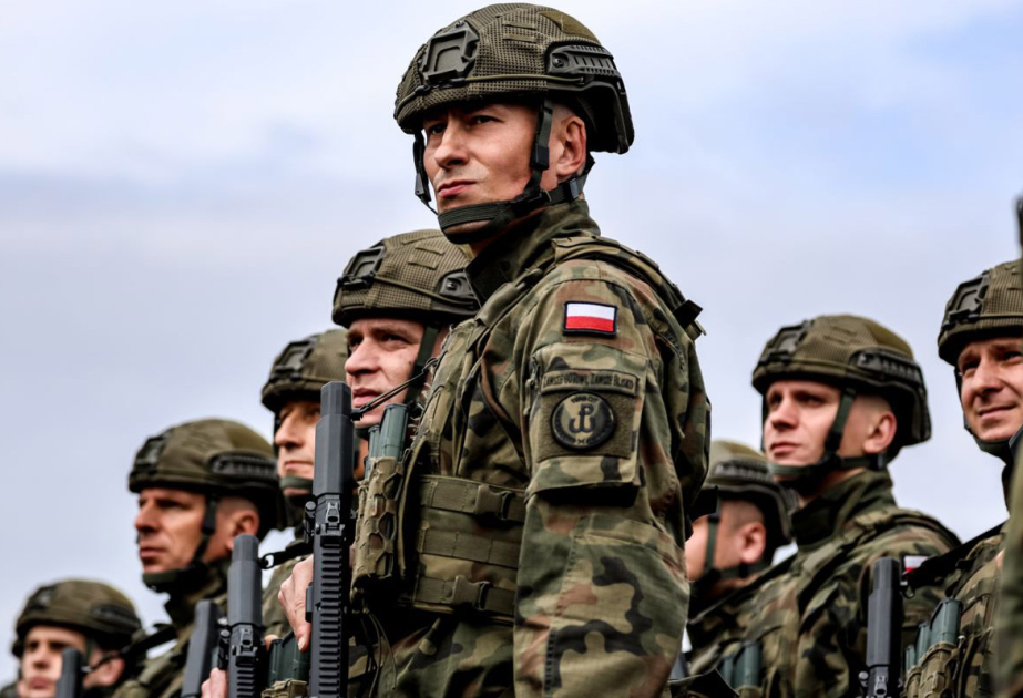 Polish army to gain high-readiness reserve service - defence minister