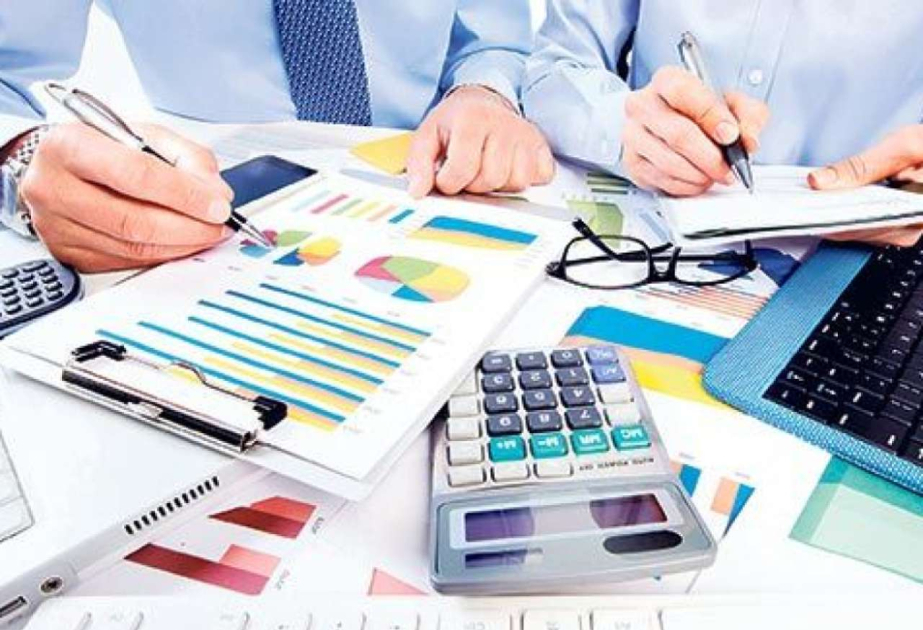 Naxçıvanda qeyri-dövlət sektorundan vergi daxilolmaları 22,3 faiz artıb