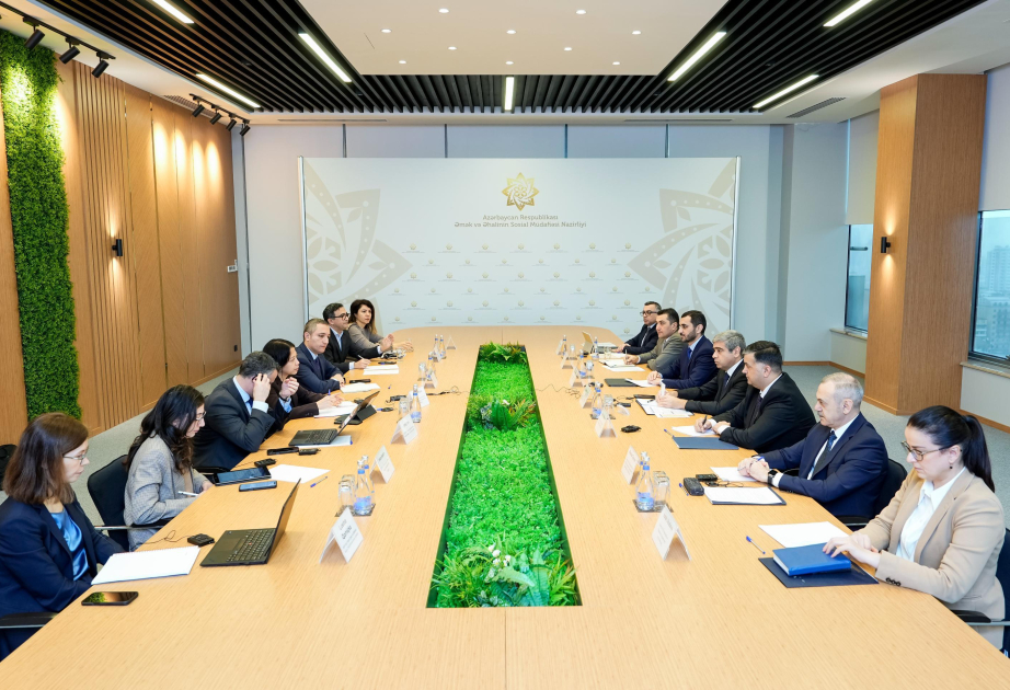 BVF-nin missiyası ilə pensiya islahatları və əmək bazarındakı yeniliklər müzakirə olunub