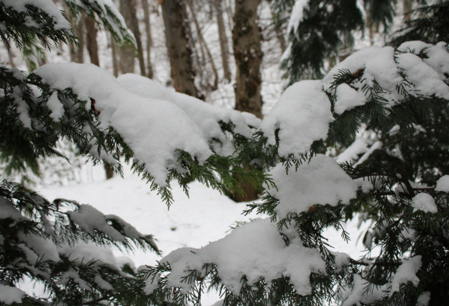 Sabah axşam yağıntılar tədricən kəsiləcək VİDEO