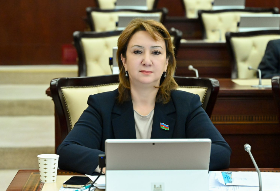 Müasir risklər və uşaq hüquqlarının qorunması –  ŞƏRH