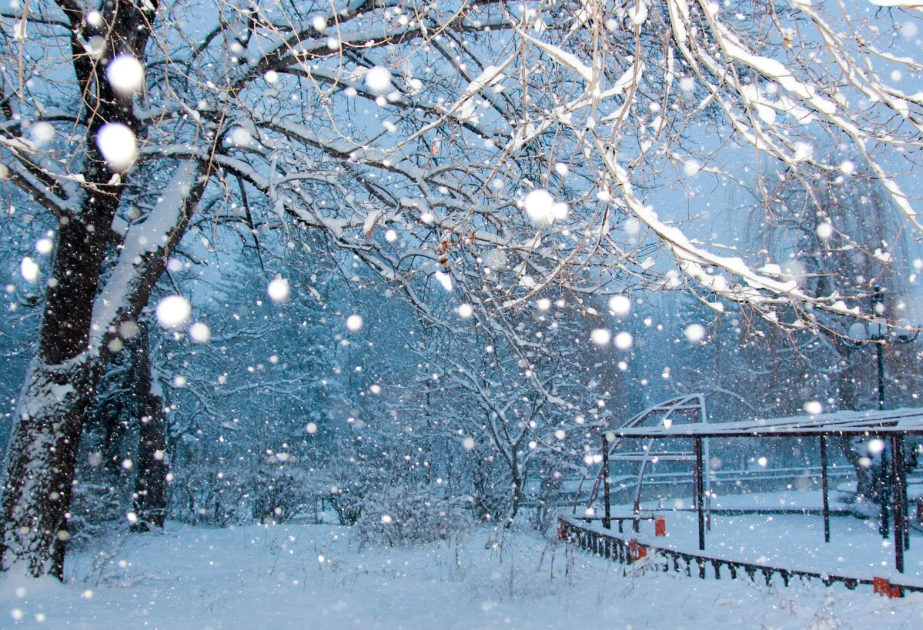 Lerikdə qarın hündürlüyü 25 santimetrə çatıb, bəzi ərazilərdə elektrik enerjisi kəsilib