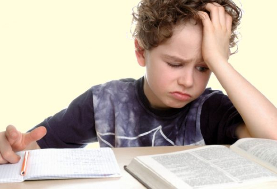 Fransada inklüziv təhsil böhranı: 48 mindən çox əlilliyi olan şagird müşayiətçisiz qalıb