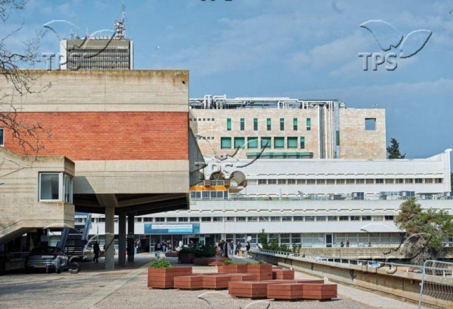 Gender gaps in research funding stem from fewer women applying, study finds