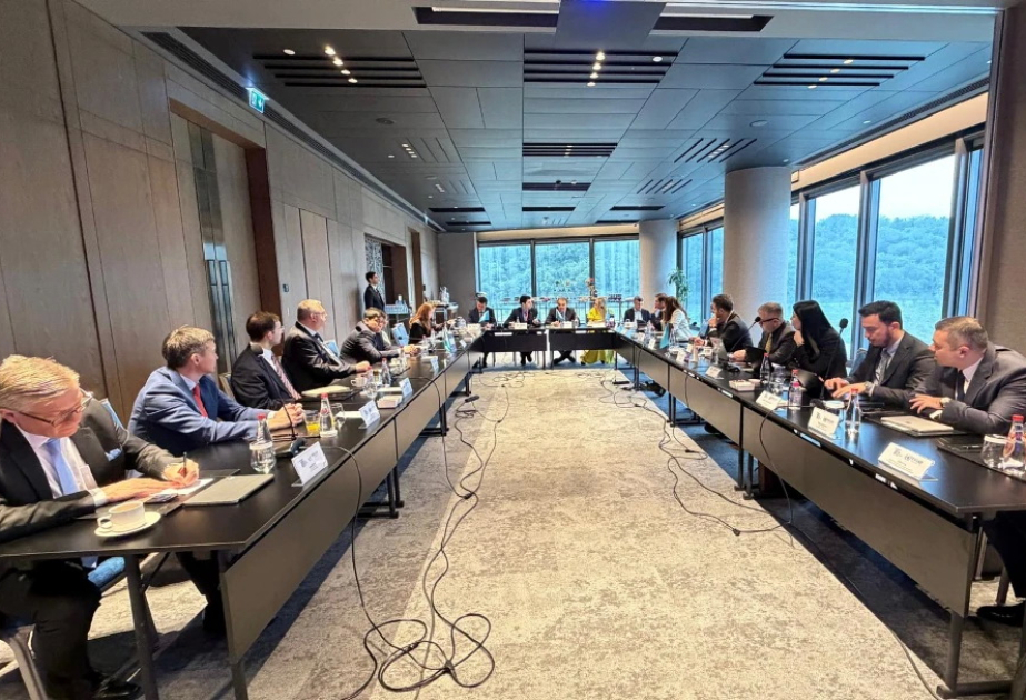 İstanbulda regional investisiyaların təşviqi və “TurkIPAnet”in yeni imkanları müzakirə olunub