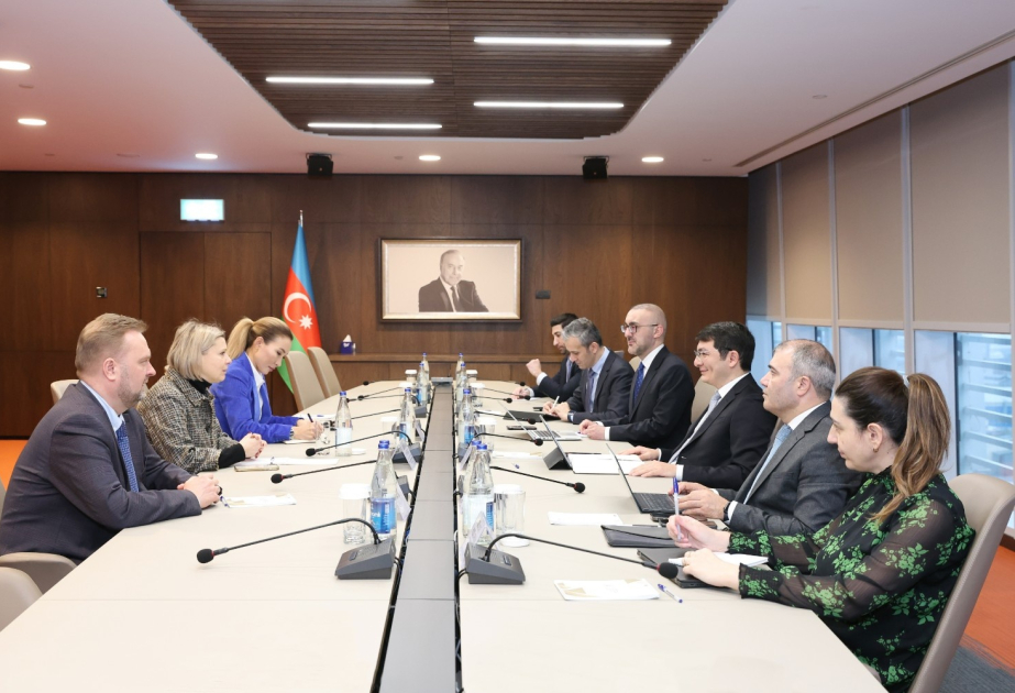 Azərbaycanda “Microsoft”la birgə süni intellekt və rəqəmsal transformasiya üzrə mərkəz qurula bilər