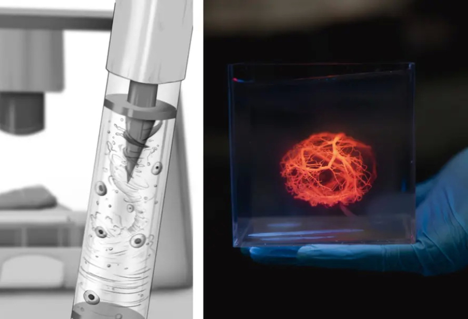 Magnetic mixer improves 3D bioprinting