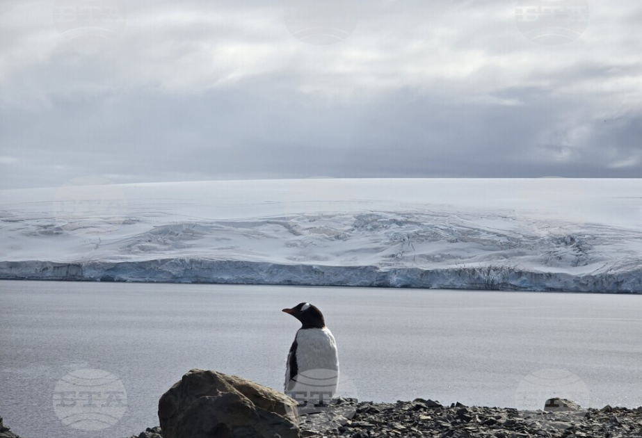 Several research projects scheduled at Bulgaria’s St Kliment Ohridski Antarctic Base