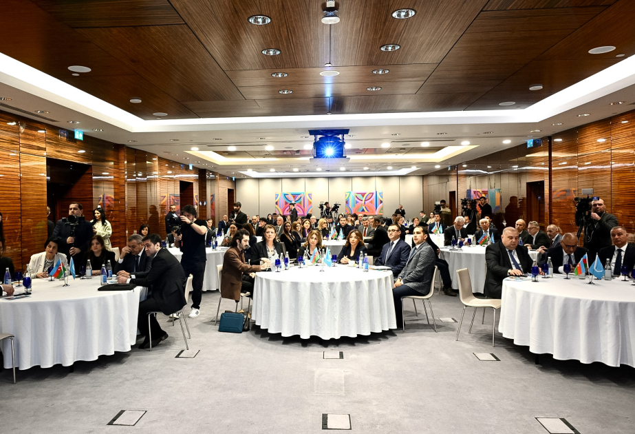 Организованы тренинги для азербайджанских НПО с целью подготовки к WUF13 ВИДЕО