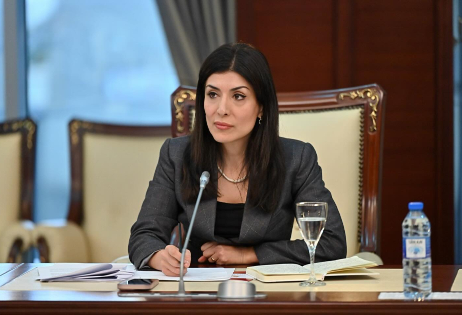 Nigar Arpadarai: Azerbaijan’s joining in international cybercrime mechanisms is ‘inevitable’