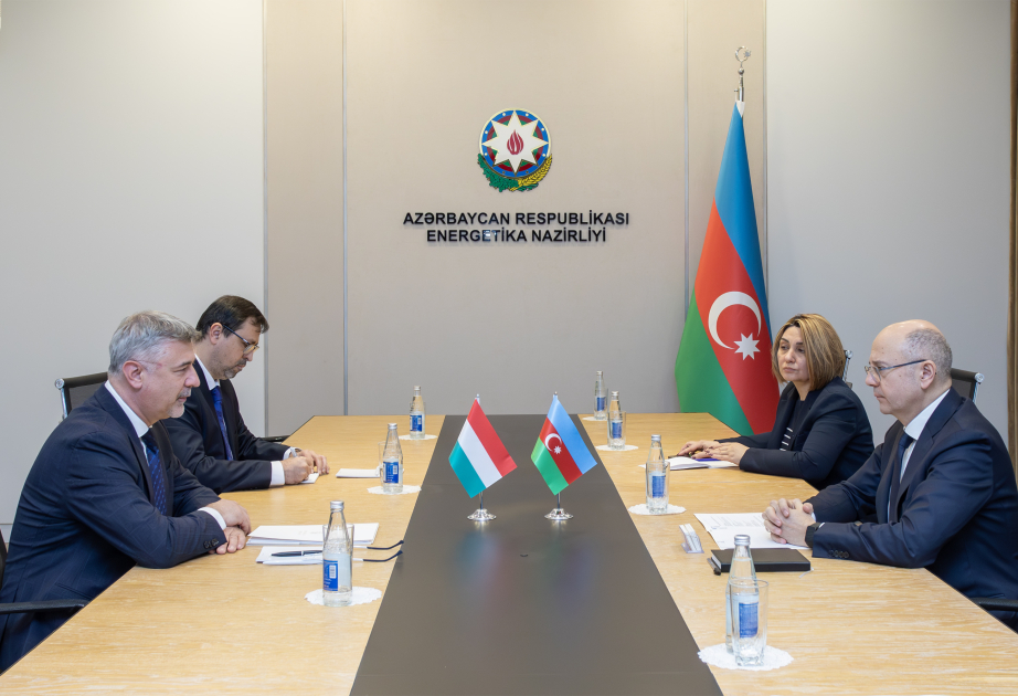 Cənub Qaz Dəhlizi və Yaşıl Enerji Məşvərət Şurasının iclaslarına hazırlıq müzakirə edilib