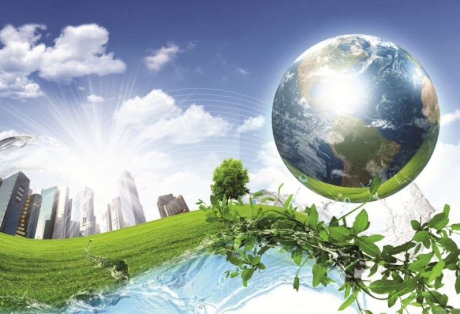 Qəmzə Yusubova: “Şəhərsalma və Memarlıq İli”ndə həyata keçiriləcək layihələr ətraf mühitin qorunmasına diqqəti artıracaq