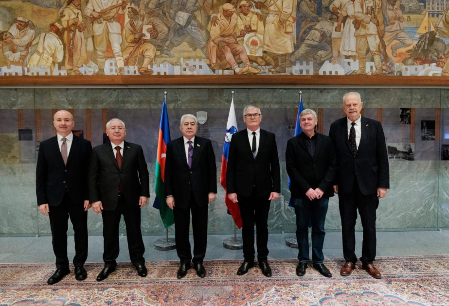 Parlamentlərarası münasibətlər və əməkdaşlıq imkanları Lyublyanada müzakirə olunub