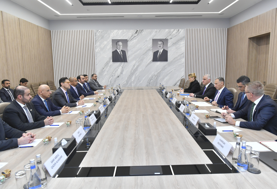 Se debatió la cooperación entre Bakú y Abu Dabi en el ámbito del desarrollo del transporte urbano