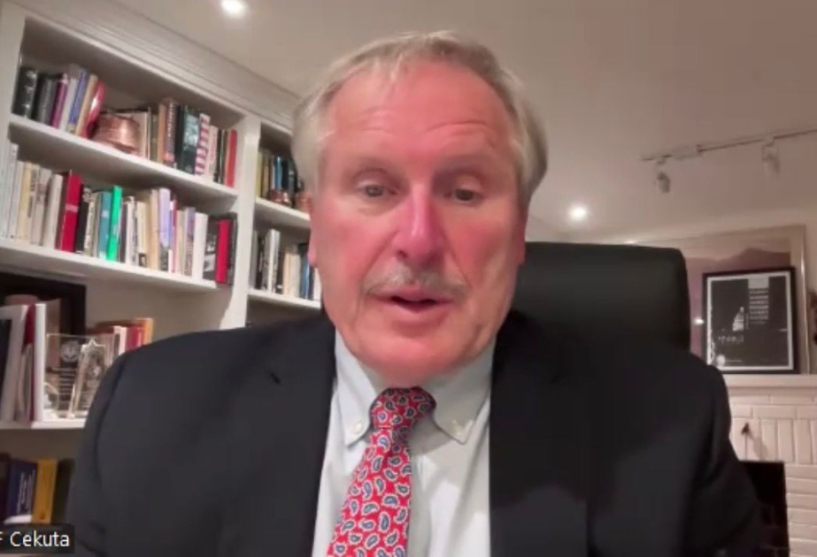 Sekuta: Vitse-prezidentin səfəri ABŞ-ın regionu dünyanın vacib bir hissəsi kimi gördüyünü göstərir