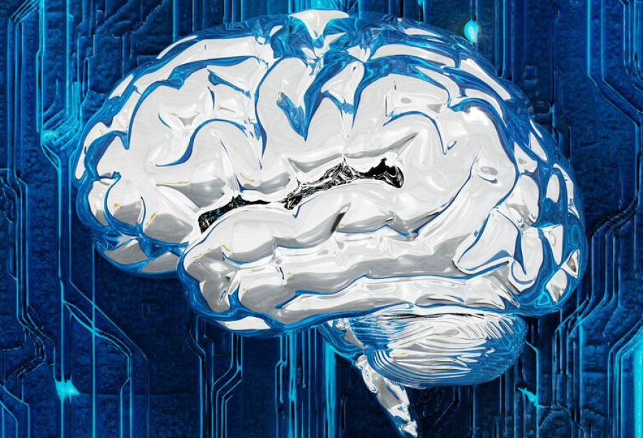 UN General Assembly appoints 40 members to independent int'l scientific panel on AI