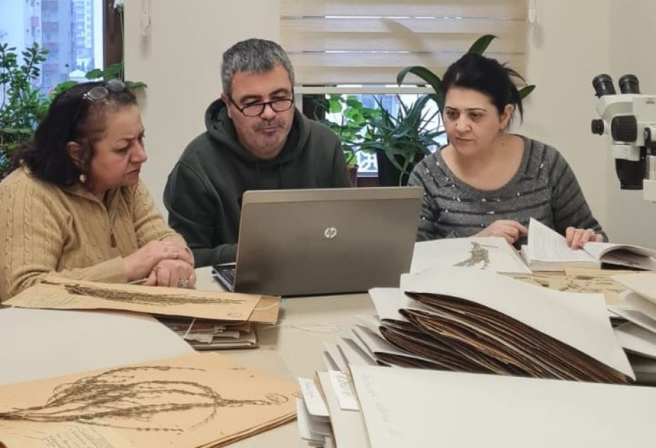 Türkiyəli alimlər Botanika İnstitutunda olublar