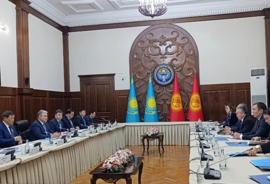 Kazakhstan and Kyrgyzstan strengthen foreign policy ties