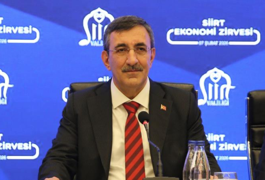 Вице-президент: Макроэкономические позиции Турции укрепляются на фоне нестабильности на глобальной арене