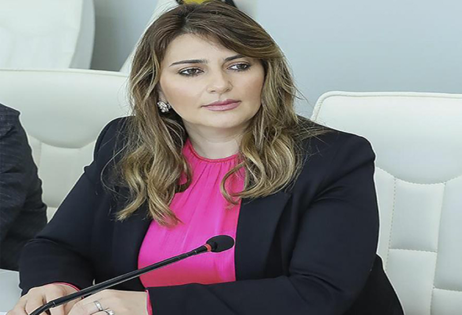 Əlilliyi olan şəxslərin qərar qəbuletmə proseslərinə cəlb olunması inklüziv şəhər modelinin formalaşmasına mühüm töhfə verə bilər - MÜSAHİBƏ