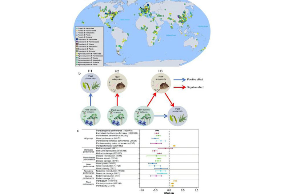 Shanghai-led global study backs plant diversity in agriculture