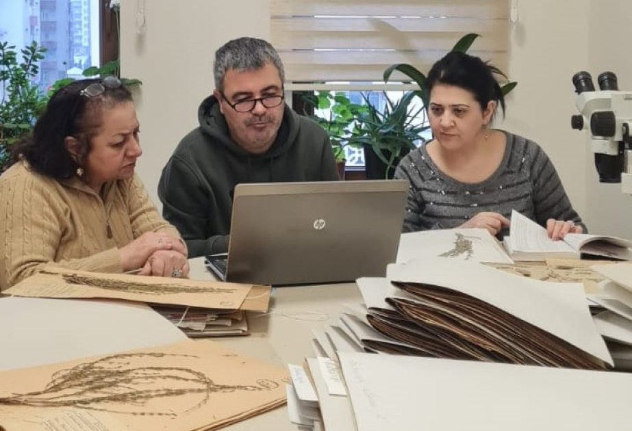 Científicos de Türkiye visitaron el Instituto de Botánica