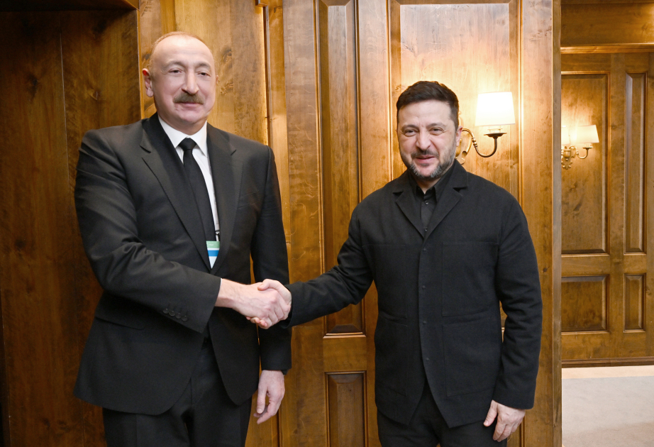 President Ilham Aliyev met with Ukrainian President Volodymyr Zelenskyy in Munich