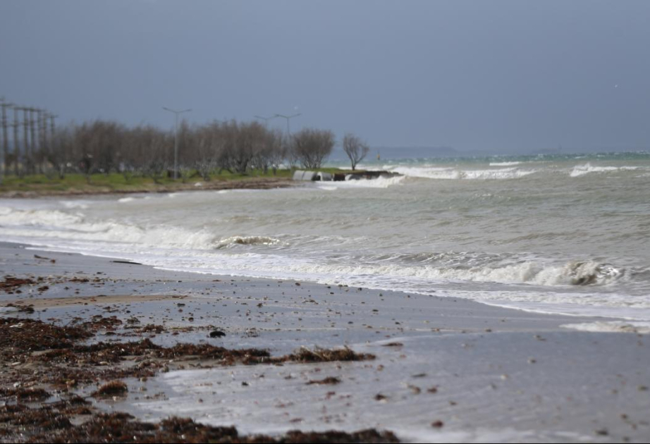 Türkiyənin doqquz bölgəsində güclü yağış və toz fırtınası ilə bağlı xəbərdarlıq edilib