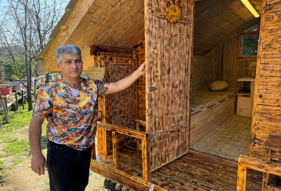Lənkəranda ilk dəfə arı terapiya məkanı yaradılıb – arılar arasında yeni müalicə üsulu FOTO VİDEO