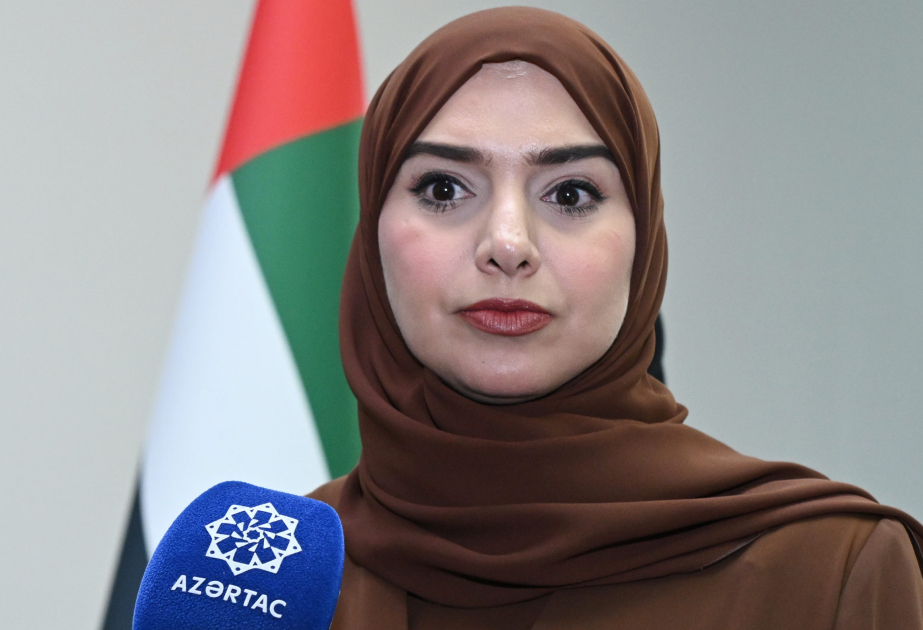 Министр: Связи между ОАЭ и Азербайджаном развиваются по восходящей линии