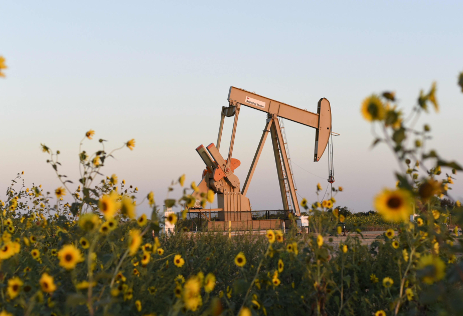 Les cours du pétrole terminent en ordre dispersé sur les bourses mondiales