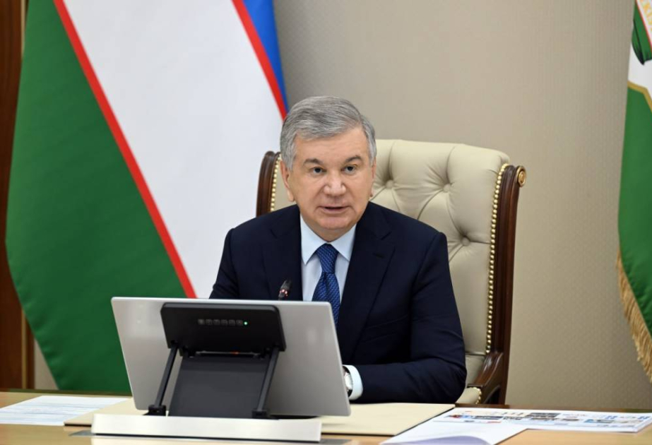 Uzbekistan’s President reviews proposals on launching satellite into space and training first national cosmonaut