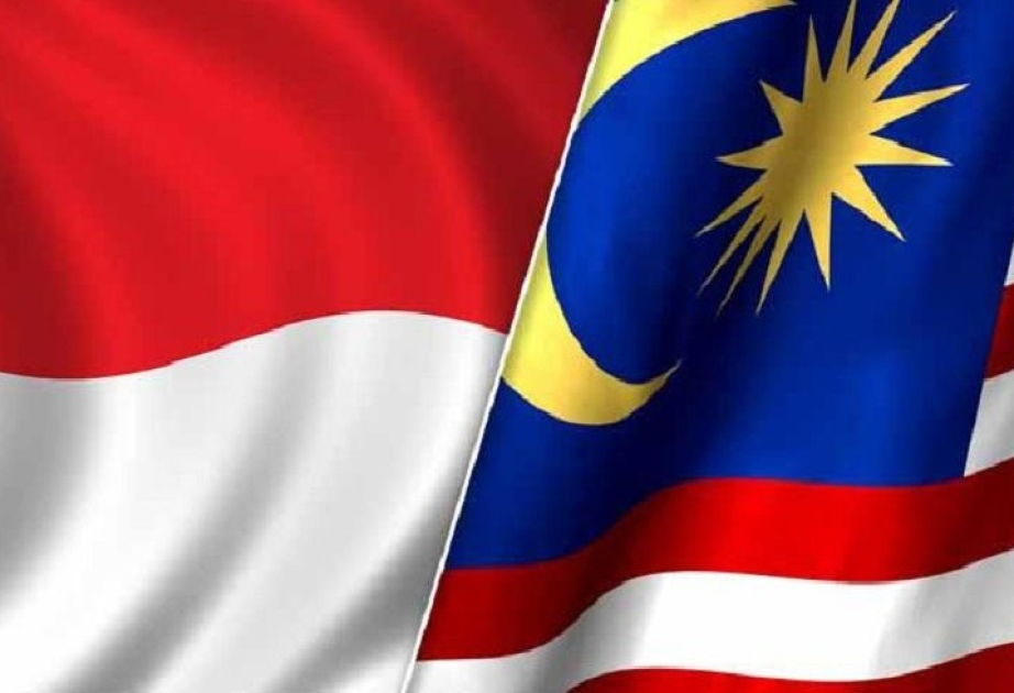 Indonesia, Malaysia expand research cooperation on food security, AI