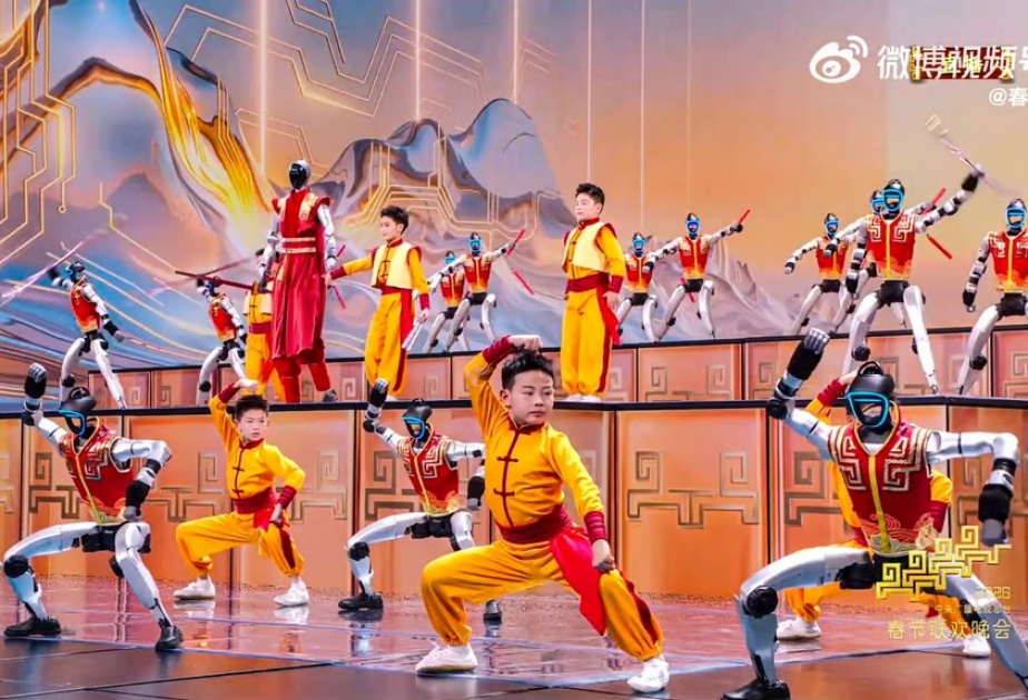 China unveils kung fu robots