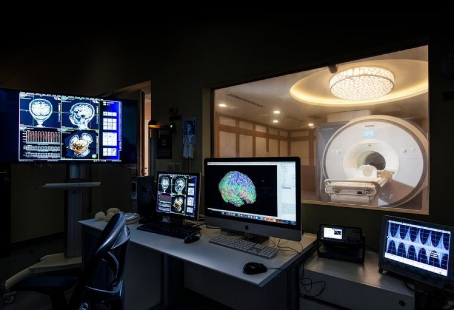 NYU Abu Dhabi and UAE University advance brain research